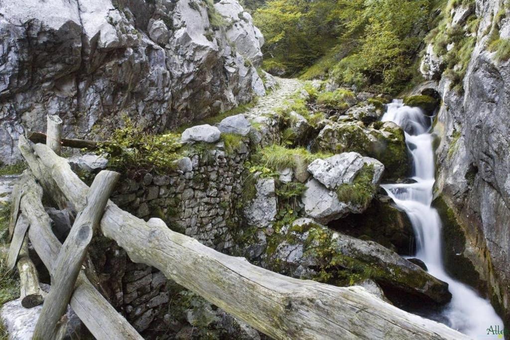 Los Molinos - Atico En Montana De Asturias Felechosa Exteriör bild