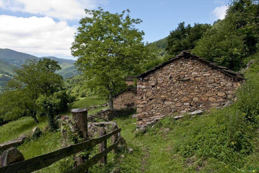Los Molinos - Atico En Montana De Asturias Felechosa Exteriör bild